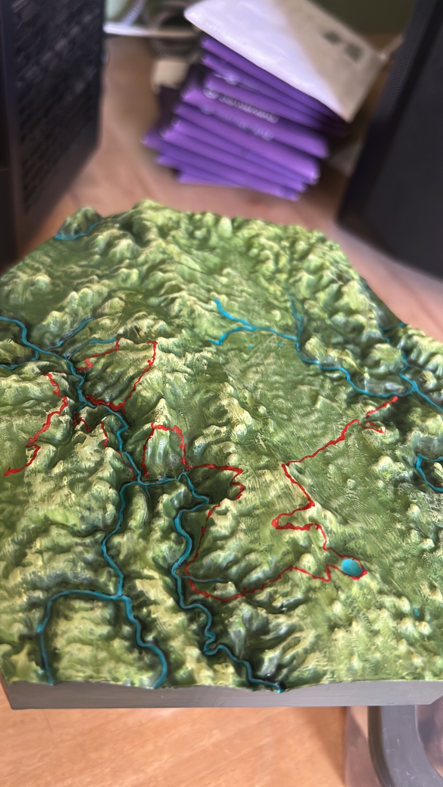 3D print of St Jacque by UTMB